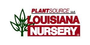 Louisiana Super Plants 