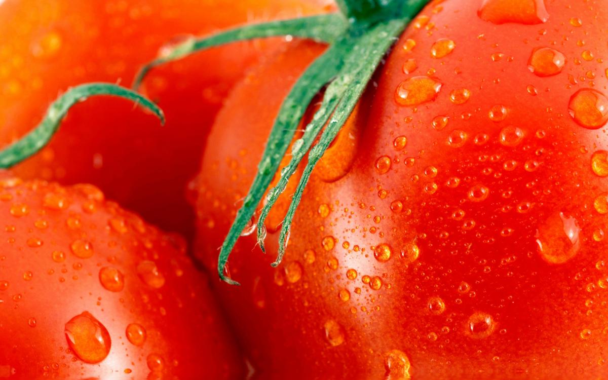 Heirloom vs. Hybrid Tomatoes